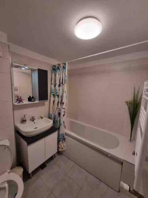 Apartmán Chic Studio Pallady Bukurešť Exteriér fotografie